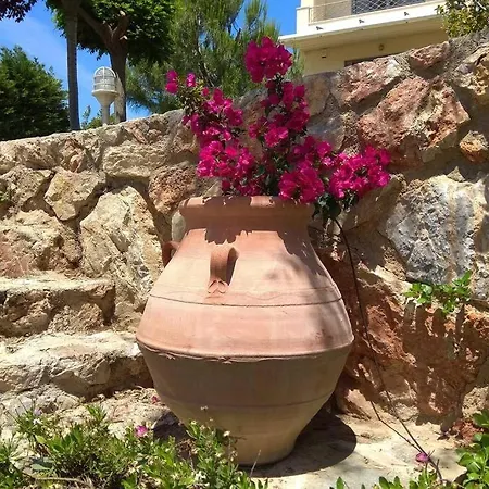 Villa Seaside Andronikos Amarynthos