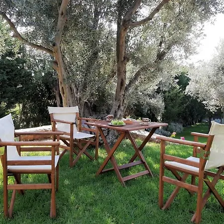 Villa Seaside Andronikos